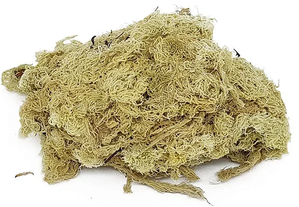 Musgo Sphagnum Desidratado - 3 litros