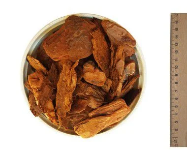 Casca de Pinus Semi-Polida - 40 litros