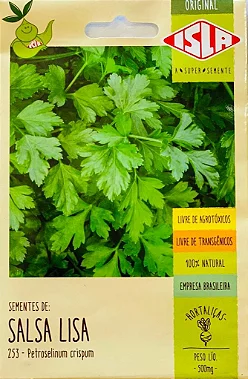 Sementes de Salsa Lisa
