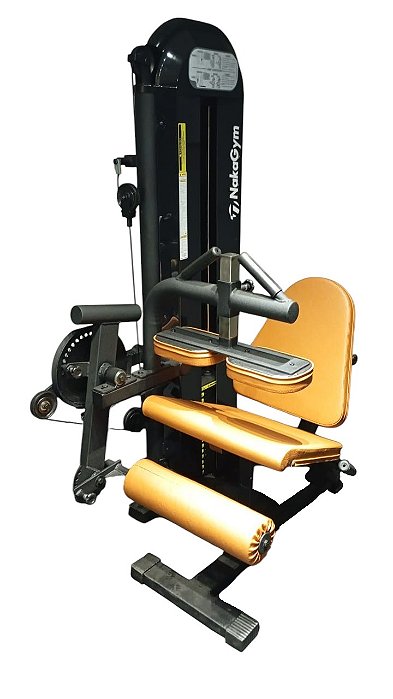 CADEIRA FLEXORA/EXTENSORA