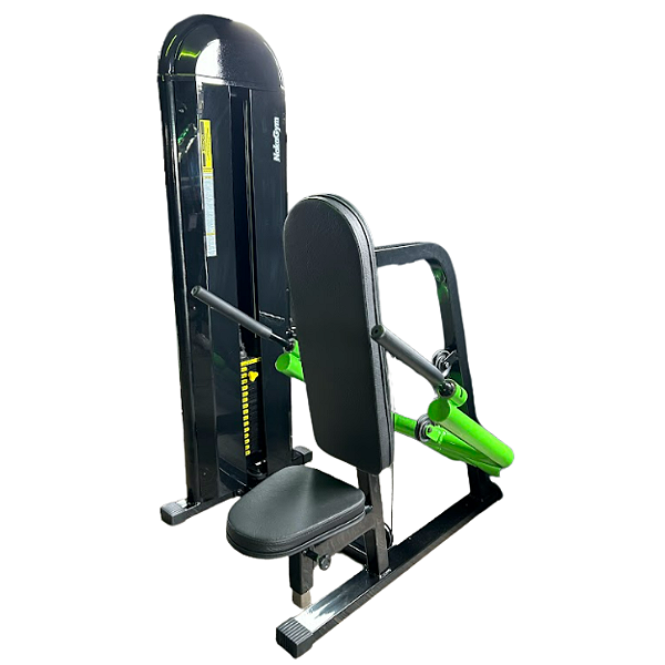 Tríceps Paralela Máquina