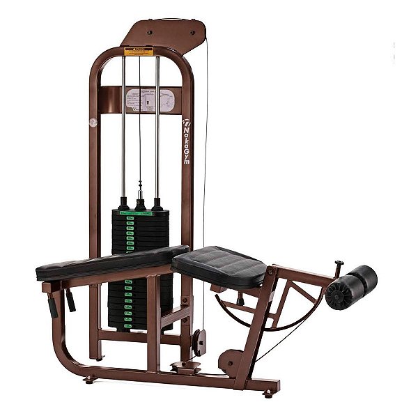 Mesa Flexora com Tração Central