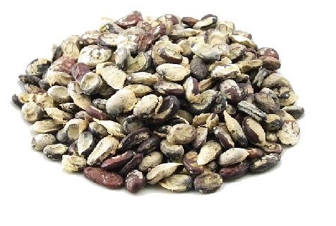 20 KG SEMENTE DE UMBURANA