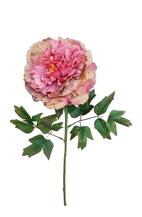 Galho Flor Peonia GD Rose Envelhecido 68cm - Raffaello Presentes e  Decorações A melhor loja online de decor