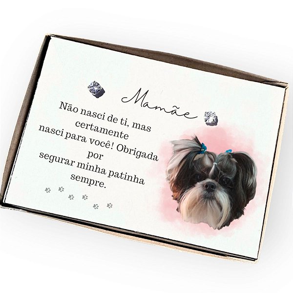 Brinco ponto de luz aço - Caixa presente com Foto Personalizado para Mãe de Pet