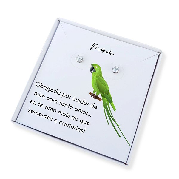 Brinco ponto de luz de aço + Caixa Presente Mãe de Papagaio