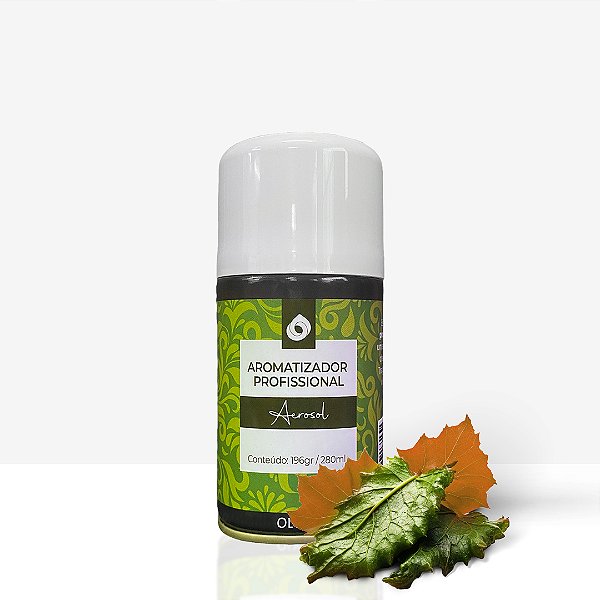 Refil Aerosol Carvalho 257ml/180g