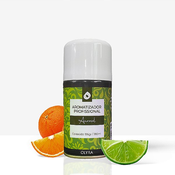 Refil Aerosol Citric Fitness 257ml/180g