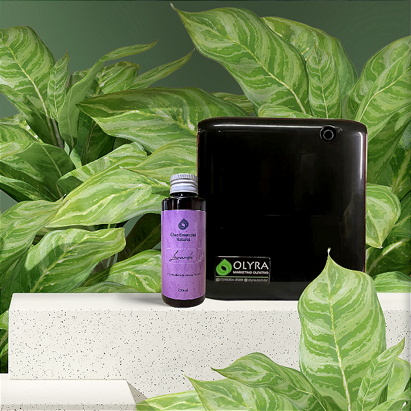 Kit Aromatizador Home Classic 70m² Preta + Óleo Essencial 100ml