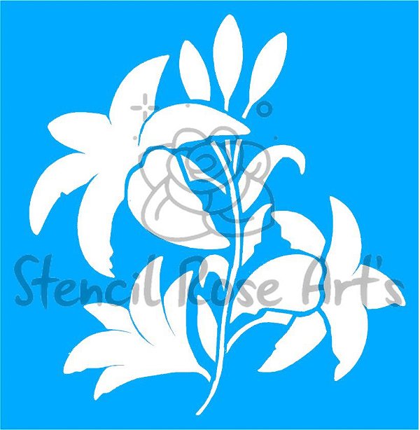 SRA-620 LÍRIOS - 28X29