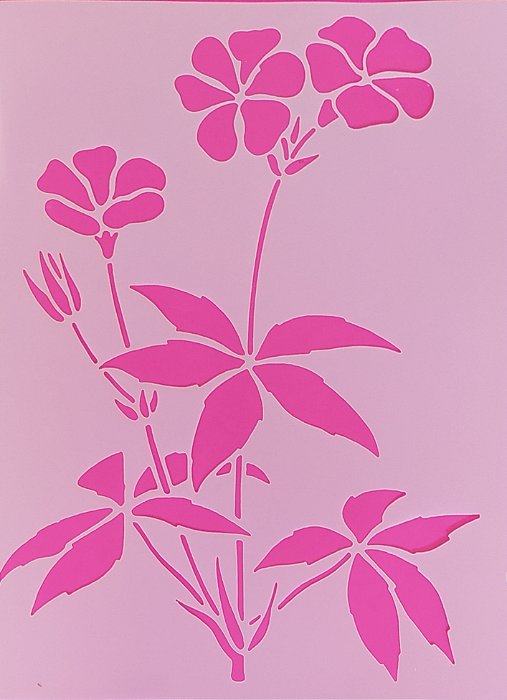 SRA-1434 - MANACA DA SERRA