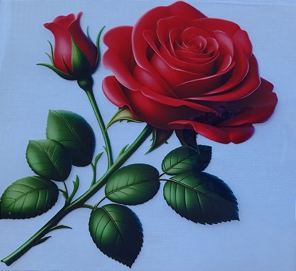 ADR-07 - ADESIVO TÊXTIL DTF - ROSA VERMELHA