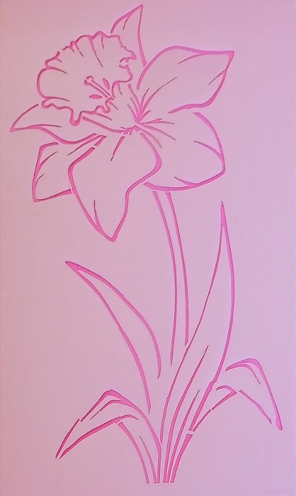 SRA-1777 - ORQUÍDEA CONTORNO