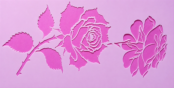 SRA-1836 - ROSA ABERTA E ROSA VIRADA