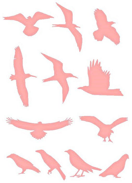 SRA-194 PASSÁROS 8X11