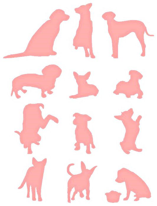 SRA-196 CACHORROS 10X13