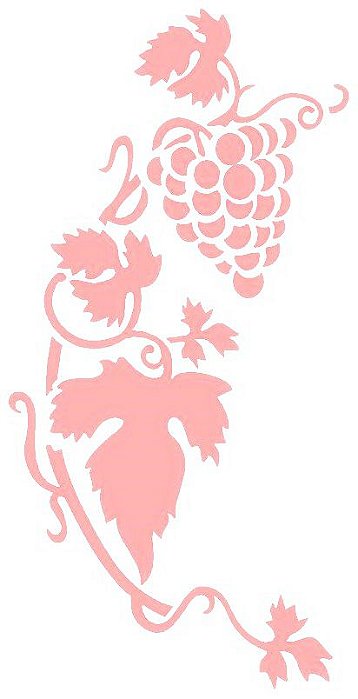 SRA-490 CACHO DE UVA 26X16