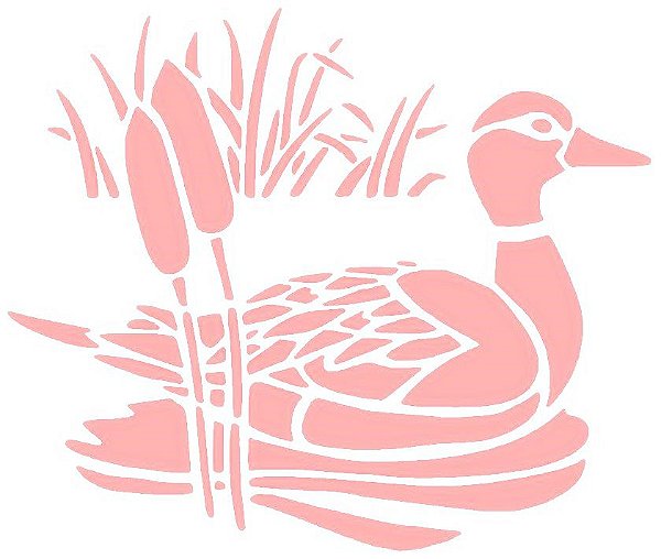 SRA-495 PATO NO LAGO 16X14