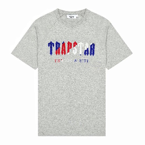 Camiseta Trapstar Chenille Decoded "Grey Revolution"