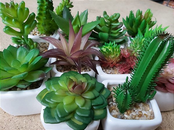 Kit com 3 Mini Suculentas Artificiais Vaso Branco