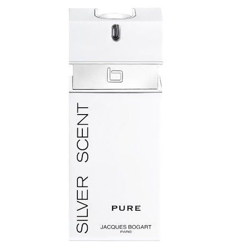 Perfume Silver Scent Pure Masculino EDT 100ml