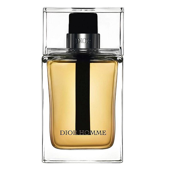 Perfume Christian Dior Homme EDT Masculino 100ML