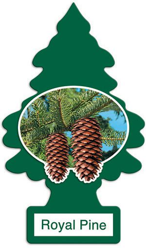 Little Trees Royal Pine (Aroma de Pinheiro Real), Ideal Para Seu Carro e Ambientes