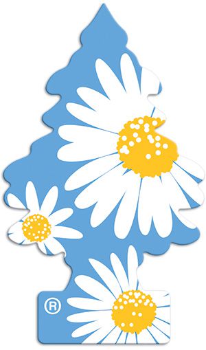 Little Trees Daisy Fields (Aroma de Margaridas do Campo), Ideal Para Seu Carro e Ambientes
