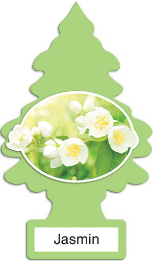 Little Trees Jasmin (Aroma de Jasmin), Ideal Para Seu Carro e Ambientes