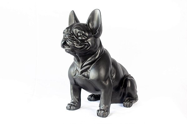 Buldogue Frances