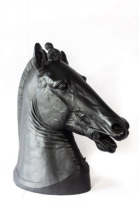 Cabeça Cavalo Chines G