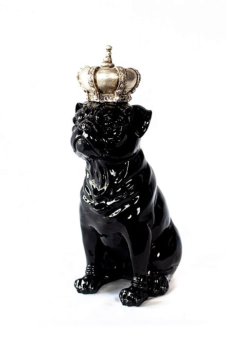 Bulldogue Coroa P
