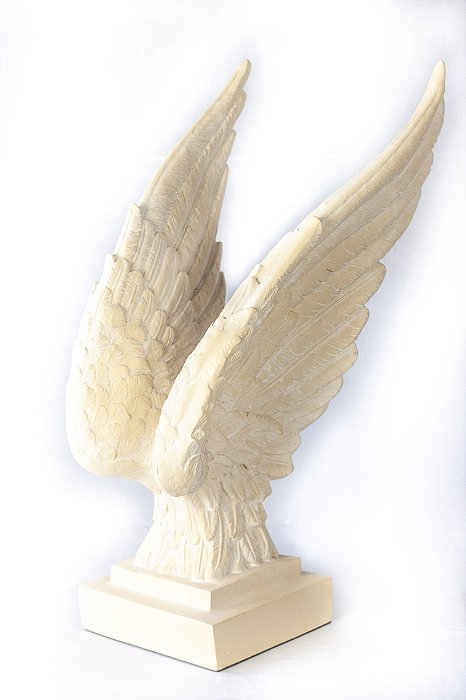 Asa Pegasus