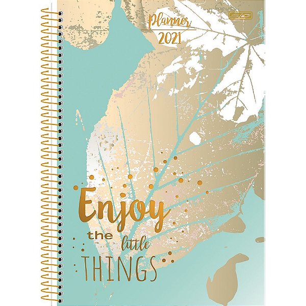 Planner Esp 88f Anual Mulher - Sd