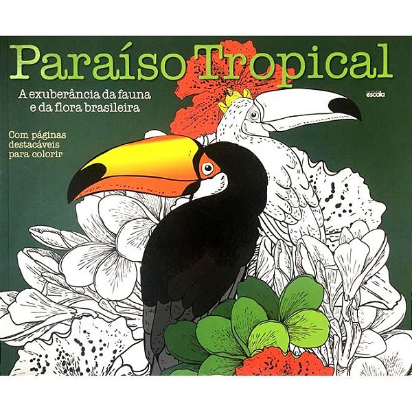 Livro Paraiso Tropical Ed 1 - Escala