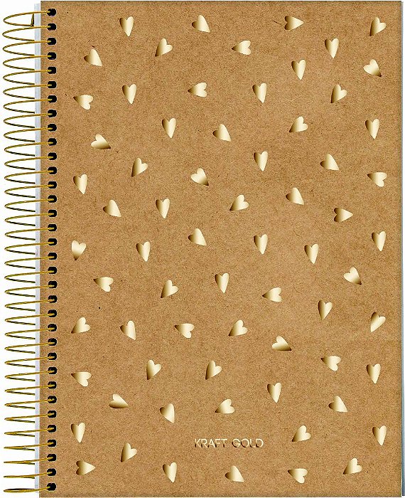 Caderno Esp Univ Cd 01m 80f Kraft Gold - Jandaia