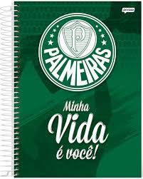 Caderno Esp Univ Cd 12m 240f Palmeiras - Jandaia
