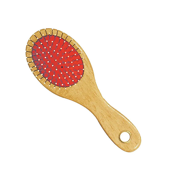 Escova Madeira Cães Chalesco G