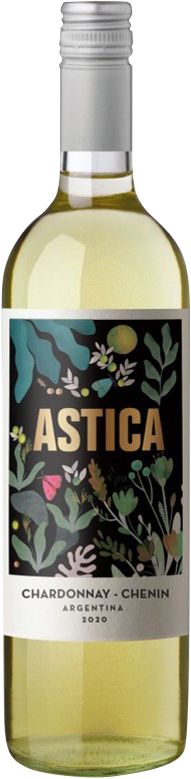 Vinho Branco Trapiche Astica Chardonnay-Chenin - 750ml
