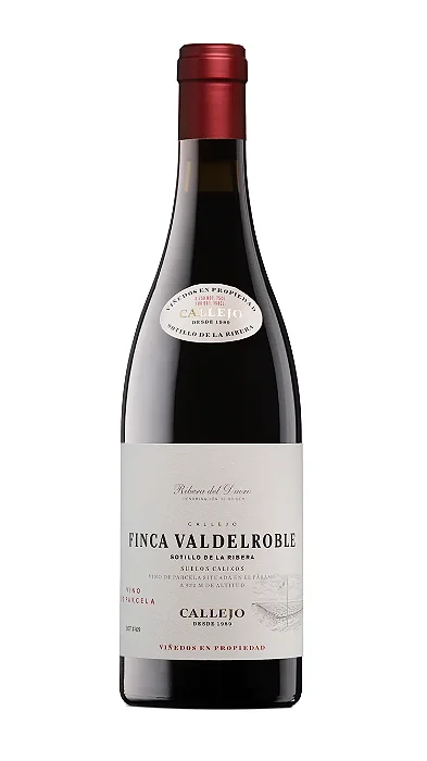FINCA VALDEROBLE 2009