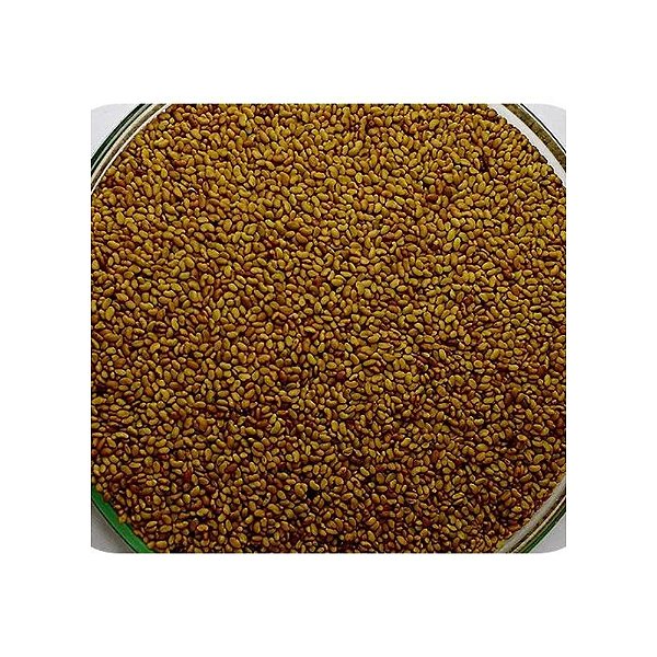 Alfafa Crioula 1kg - SG Sementes