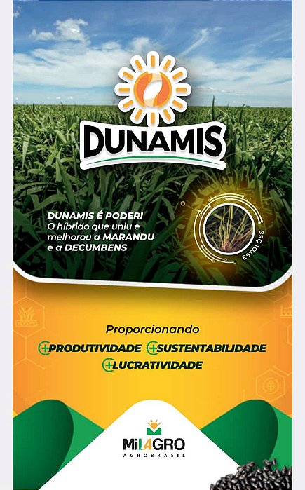 Brachiaria Dunamis Peletizada 10kg - MilAgro