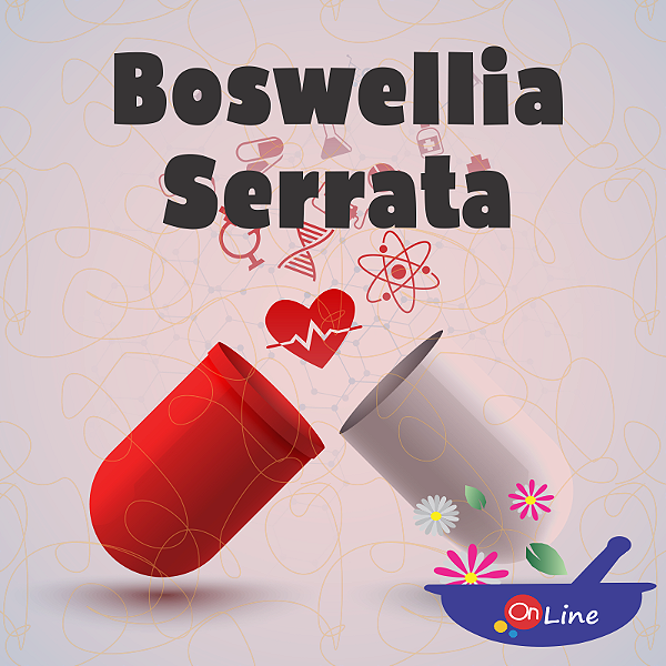 Boswellia Serrata 300 mg 90 Cápsulas