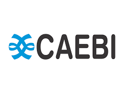 Caebi