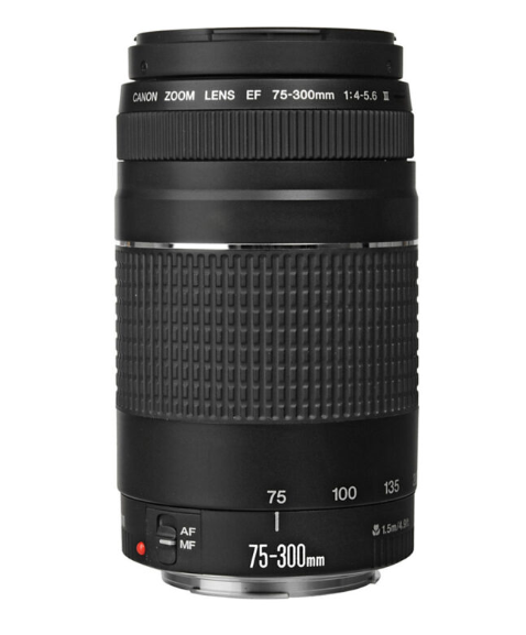 Lente CANON EF 75-300mm f/4-5.6 III - Loja dos Marios