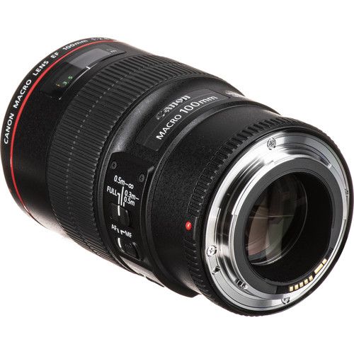 人気アイテムランキング(新品)  Lente CANON EF 100mm f/2.8 MACRO L IS USM - Loja dos Marios レンズ(単焦点)
