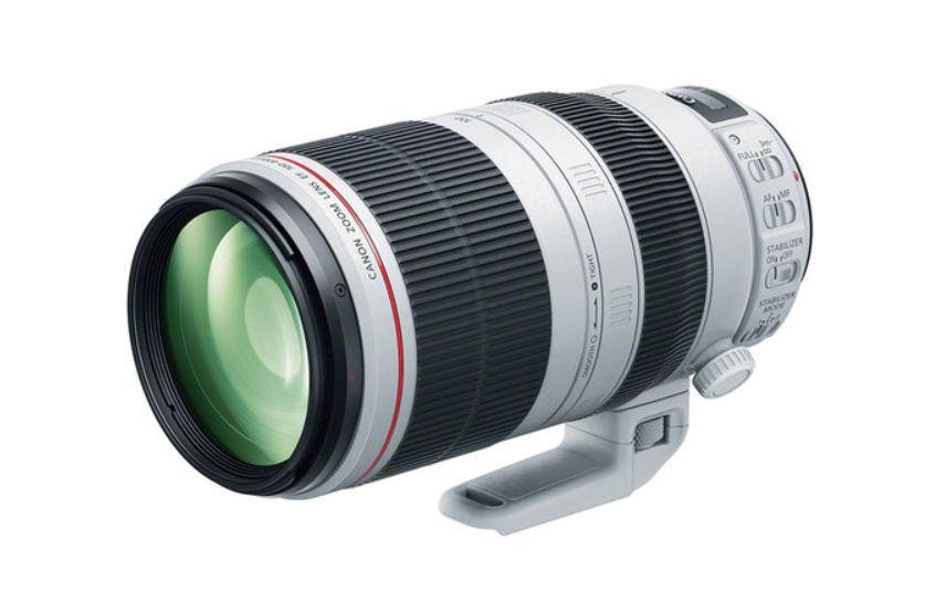 ★ 美品 Canon EF 100-400mm F4.5-5.6L IS USM Lente CANON EF 100-400mm f/4.5-5.6 L IS II USM (sob encomenda