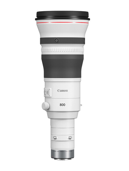 Lente CANON RF 800mm f/5.6 L IS USM - Loja dos Marios