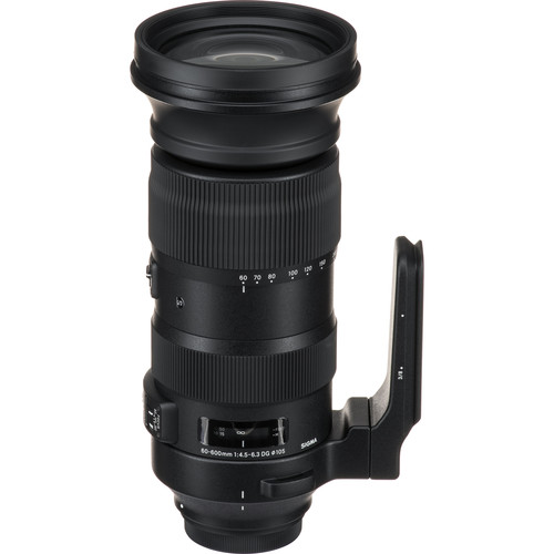 シグマ60-600mmF4.5-6.3DGOS HSMSportsキヤノンEF用 60-600mm F4.5-6.3 DG OS HSM | レンズ | Sigma