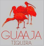 Guaaja